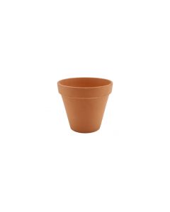 Standard Terracotta pot 30cm.