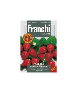 FC Strawberry Fragola Quatro Stagioni Seeds