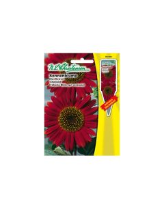 Sunflower "Chocolat" seeds