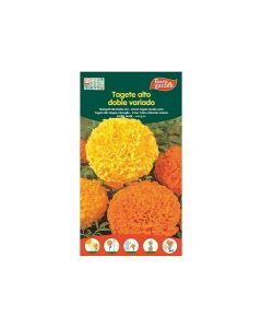 EG Mari Gold tall Double Mix Seeds