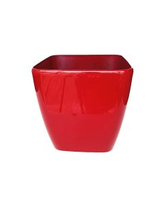 TAI Self Watering Pot