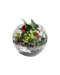 Terrarium Glass Bowl Plant Arrangement