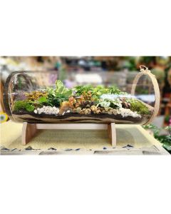 One-of-a-kind Capsule Arrangement - Terrarium Plant Arrangement