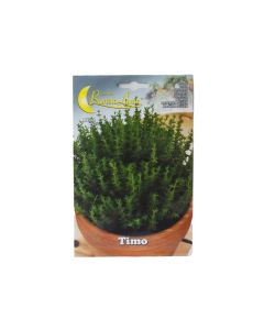Timo Seeds