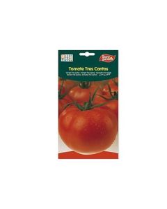 EG Tomato Big Seeds