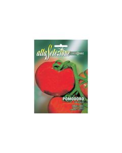 Tomato Marglobe