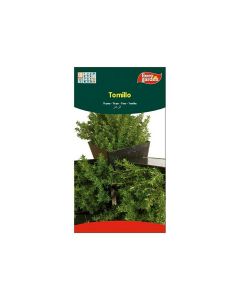 EG Thyme Seeds