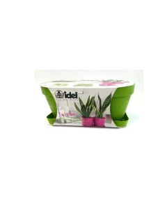 Twin Pot Green