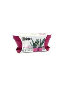 Twin pot pink