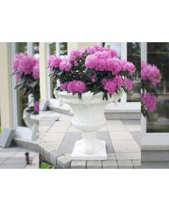 Vaso Felce Planter - Large