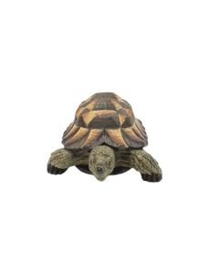 VI NF Tortoise F Decor L15cm - Artificial Turtle