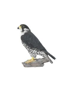 VI Peregrine Falcon Decor 25cm Height