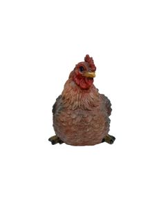 Real life Laying Hen 26x20
