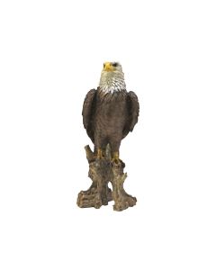 VI RL American Bald Eagle 40cm