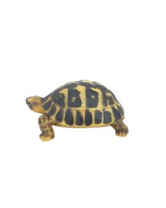 VI RL Hermann Tortoise 15cm