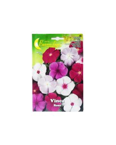 BL Vinca Rosa Flower Seeds