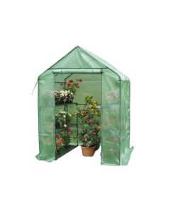 VX Greenhouse Anemone