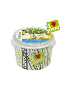 Ortolino Mint Seeds Kit VX2025