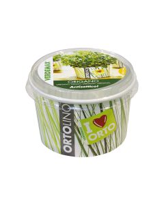 Ortolino Oregano Seeds Kit VX2026