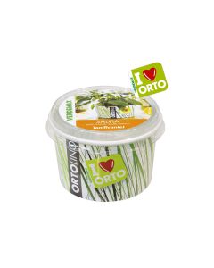 Ortolino Sage Seeds Kit - VX2028