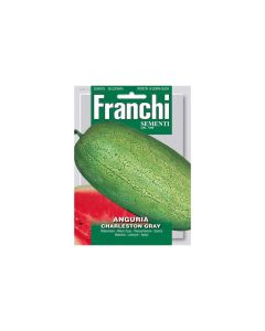 Watermelon Charlston Gray