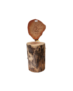 Tree Stool With Back