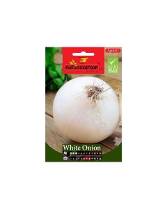 White Onion-Seeds