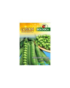 Wrinkled Pea Rondo - Seeds