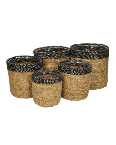 KR Planter Hogla Leaf Natural - XLarge