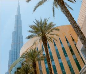 Secrets of Dubai's Desert-Proof Plants: The Top 5 Survivors